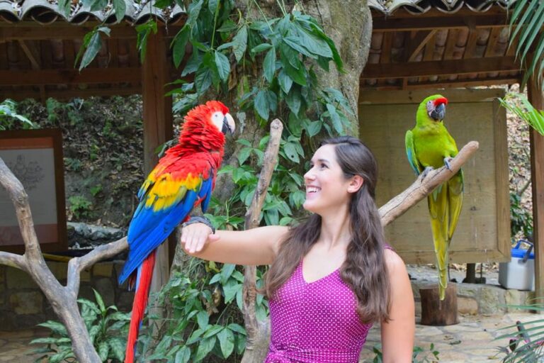 kate storm holding a scarlet macaw at macaw mountain, one of the best things to do in copan honduras